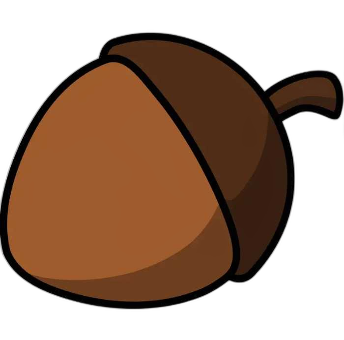 فندوق چی