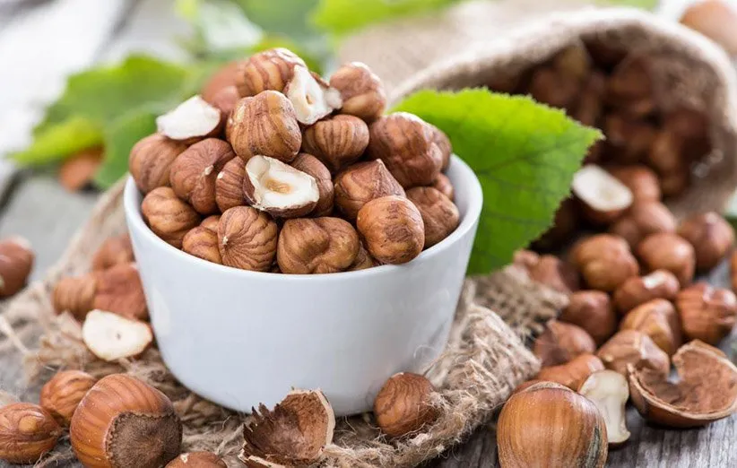 فندوق ترکیه با گرید پرمیوم